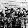 Kinder in Auschwitz. Das Bild entstand bei der Befreiung des Lagers durch die Rote Armee 