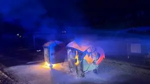 Mehrere Mülltonnen wurden in Brand gesetzt