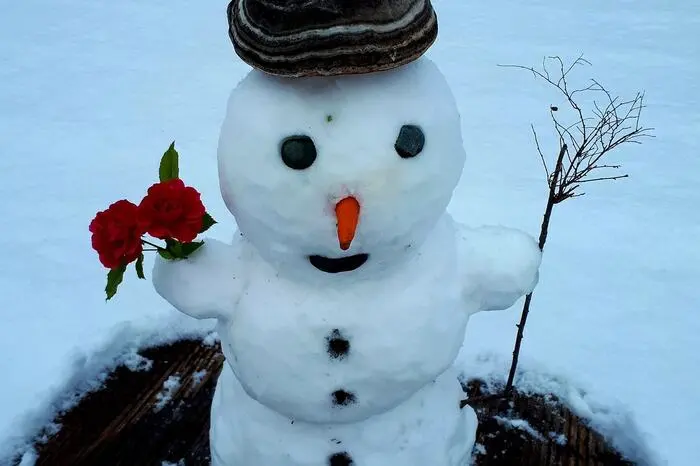 In Mürzsteg wurde bei Hanni Reisinger bereits der erste Schneemann gebaut.