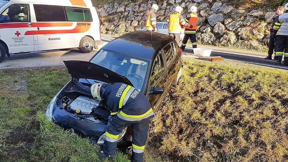 Durch den Aufprall landete der Pkw im Straßengraben