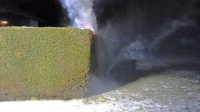 Um 22 Uhr rückte die Feuerwehr Vorau am Silvestertag zu einem Brand einer Gartenhecke aus.
