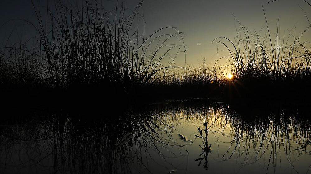 Sonnenaufgang über den Everglades in Florida