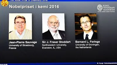 Die diesjährigen Gewinner