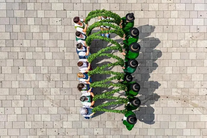 Die Volkstanzgruppen kommen aus Stainz, Bad Gams und Sankt Martin.