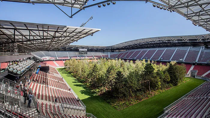 Der Wald im Stadion