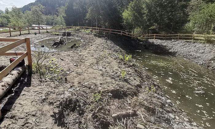 An der Isel in Oberlienz wurden über ein Interreg-Projekt drei Amphibienteiche angelegt