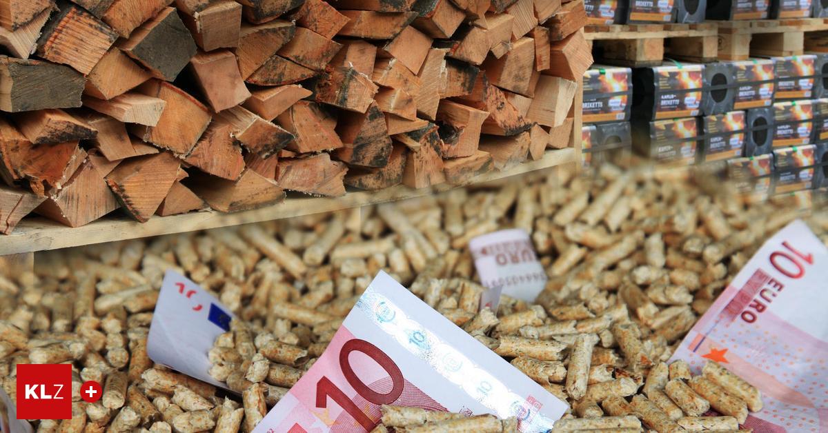 F-rderungen-Das-kommt-auf-steirische-Holzheizer-und-H-uslbauer-zu