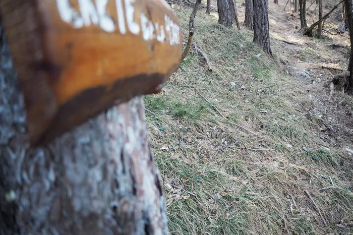 Ein Schild zeigt einen Abstecher in Richtung "Crete de la Mont" an - hier kann man abzweigen, wenn man einen Umweg einschlagen will. Der Weg zum Monticello führt über Weg 421 in Richtung Gipfel.