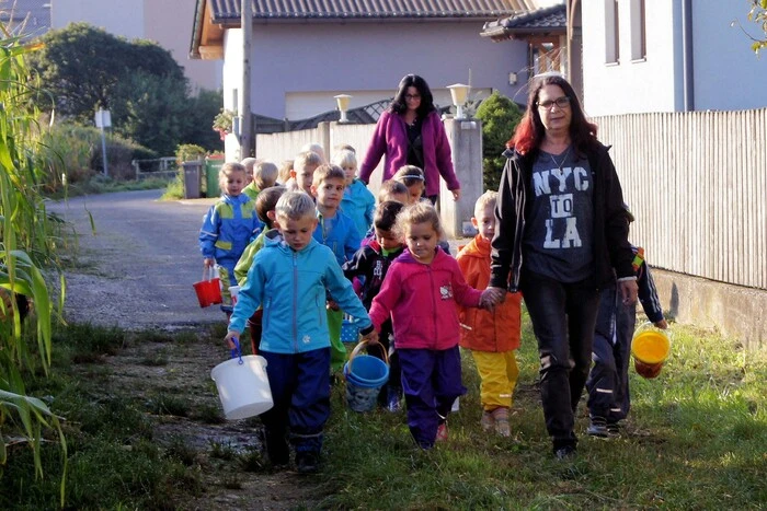 Im Zuge eines lehrreichen und unterhaltsamen Projektes, setzten sie ihre eigenen Kartoffeln am Acker der Landwirtin Katrin Huber.