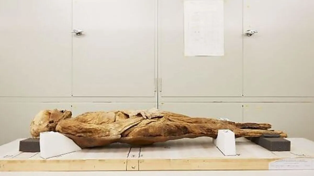 "Dame aus der Barfüßerkirche"