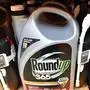 (FILES) In this file photo taken on July 09, 2018, Roundup products are seen for sale at a store in San Rafael, California. - The weedkiller Roundup contributed to a US man's cancer, a California jury found on March 19, 2019, delivering the second major legal defeat to agrochemical giant Monsanto in a year. (Photo by JOSH EDELSON / AFP)