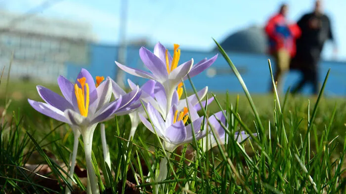 Nach einer kalten Nacht - liegt ein Hauch von Frühling in der Luft