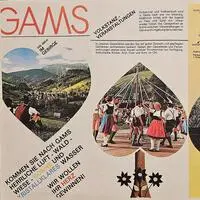 Die Herz-Broschüre des Fremdenverkehrsvereins Gams aus den 1960ern – Vorbild für das grüne Steiermark-Herz?