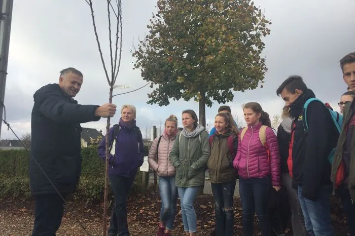Auch Gartengestaltung bietet der Betrieb. "Jeder Tag ist anders, eine Baustelle dauert zwischen ein paar Stunden und einer Woche", erklärt Jörg Grinschgl den Schülern.