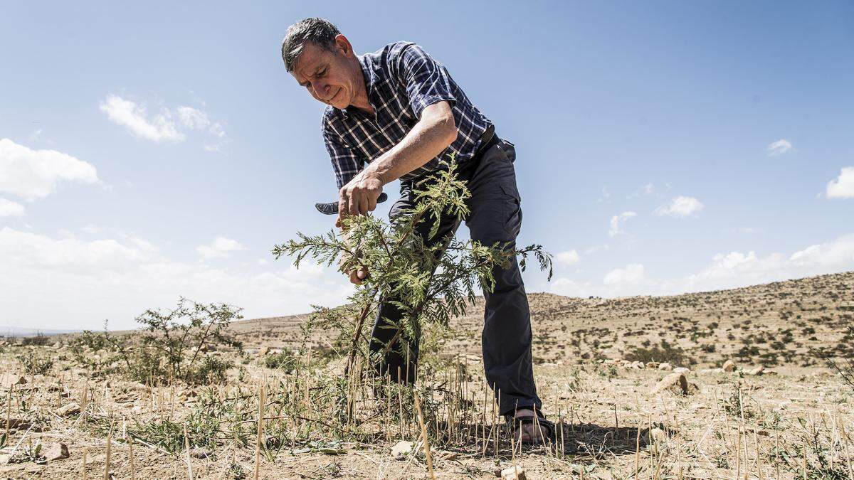 Packender Mensch, aktivistische Doku: &quot;Der Waldmacher&quot;