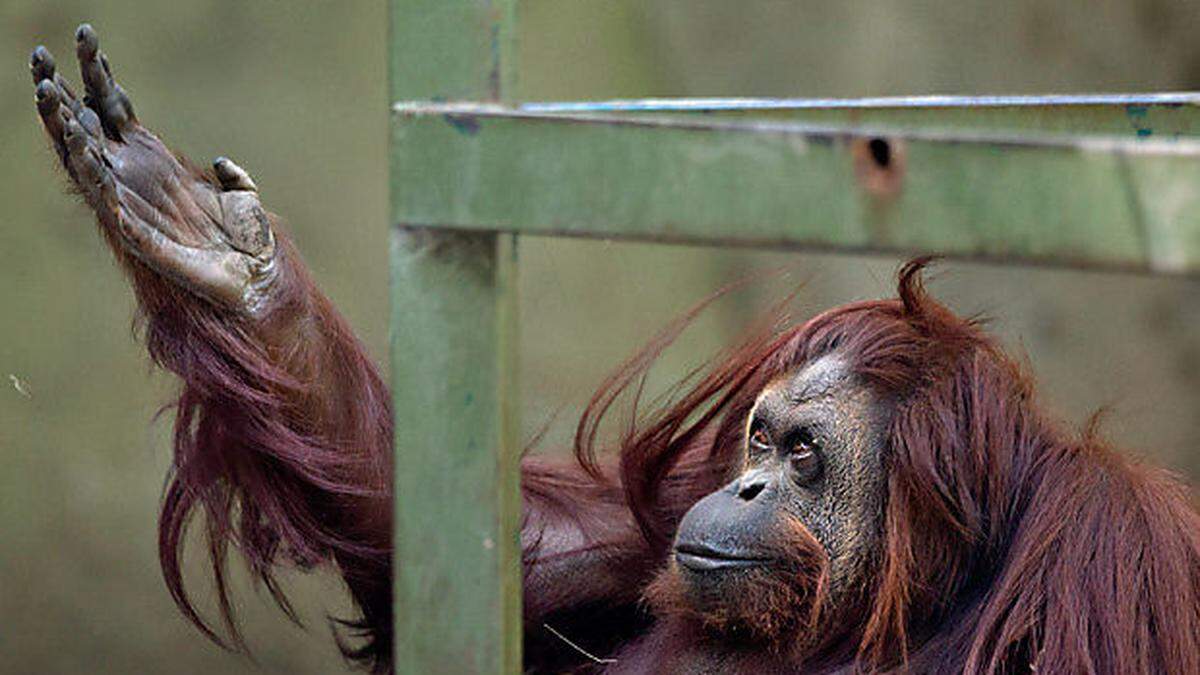 Sandra im Zoo von Buenos Aires