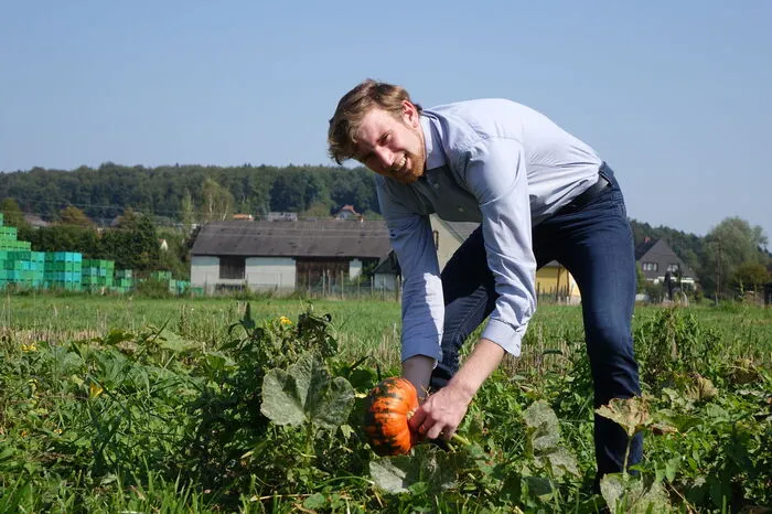 Nein, das ist noch immer nicht der Gleisdorfer Ölkürbis, dessen Besonderheit das dünne Häutchen um den Kern herum ist.