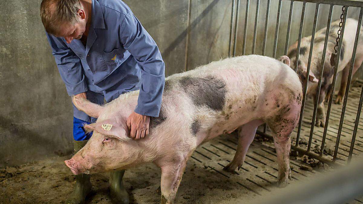 Bei den Landwirten macht sich Unmut breit