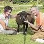 Astrid aus Kärnten blieb bis zum Schluss bei Landwirt Walter Pletz aus Reichenfels