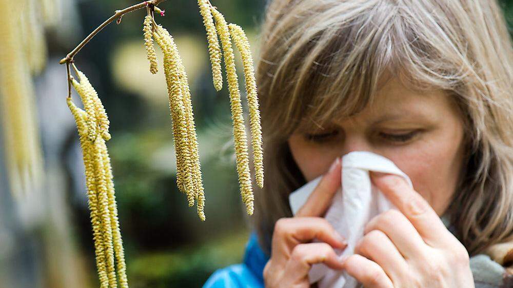 Ab Mitte der Woche ist mit einem explosionsartigem Anstieg der Pollenbelastung zu rechnen