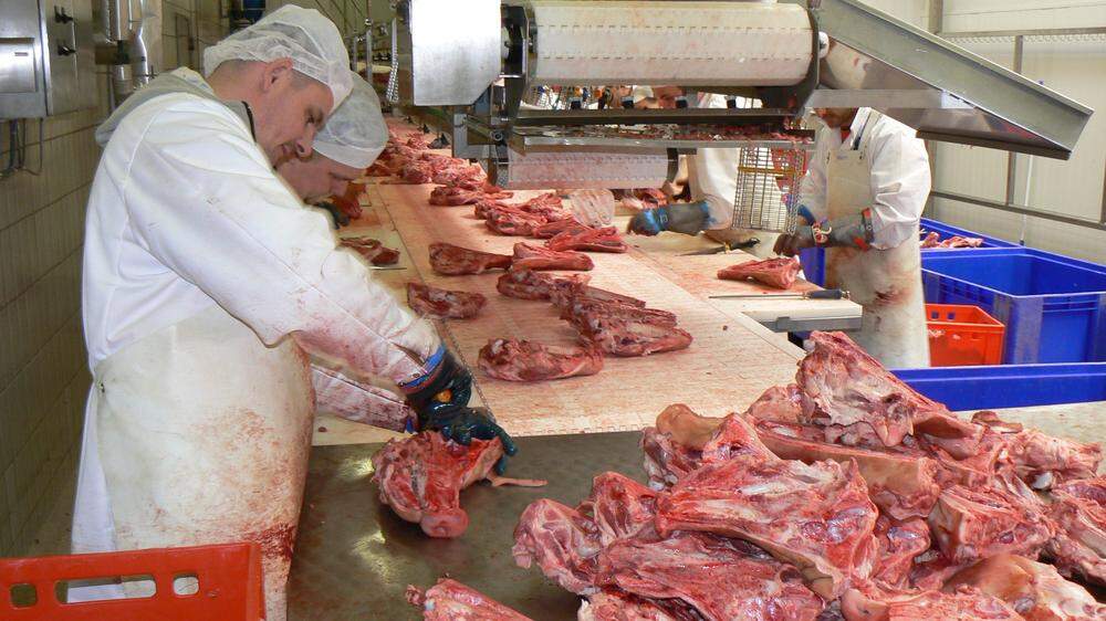 Bei einem südsteirischen Fleischverarbeitungsbetrieb wurden Listerien festgestellt (Sujetbild)