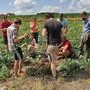 In Workshops wird das Wissen zum Humusaufbau weitergegeben