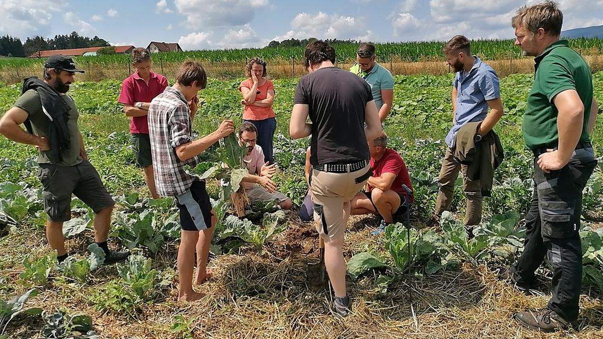 In Workshops wird das Wissen zum Humusaufbau weitergegeben