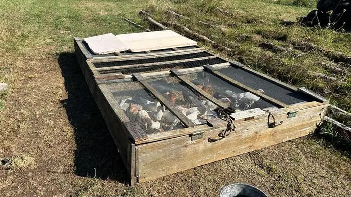 Rund 160 Tiere wurden auf einem Anwesen im Bezirk Jennersdorf nicht artgerecht gehalten und von der Polizei beschlagnahmt