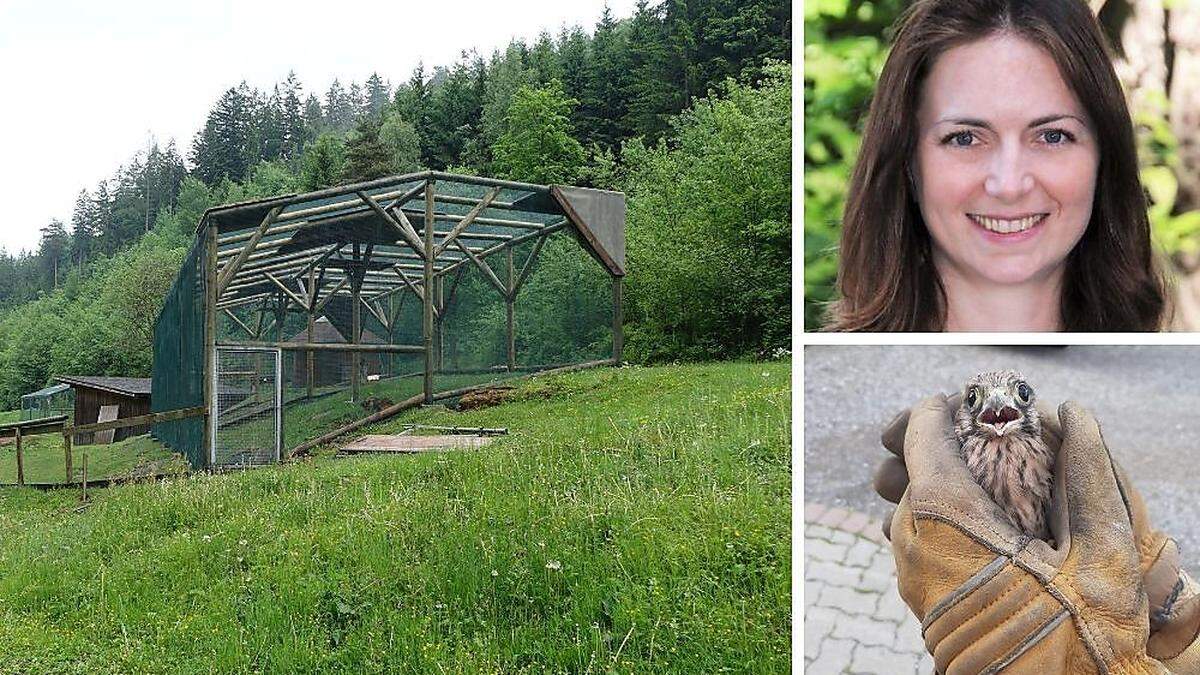 Maria Feldgrill hofft auf Freiwillige, um im Weitental weiterhin möglichst viele Tiere betreuuen zu können