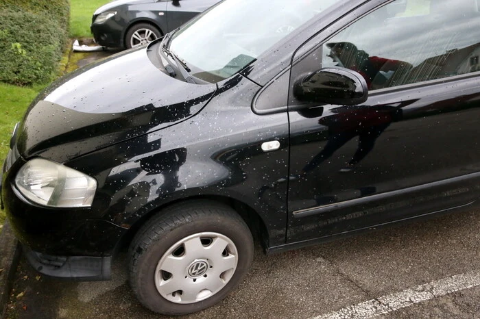 Mehrere Autos, die im Eingang geparkt waren, wurden von den Paketteilchen getroffen und ebenfalls beschädigt.