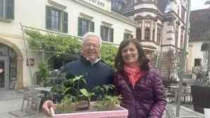 Gartenfreunde aus nah und fern versorgten sich am Hartberger Hauptplatz mit Jungpflanzen