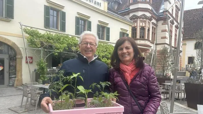 Von der Mariensäule bis runter in die Fußgängerzone grünte es vergangenen Freitag am Hartberger Hauptplatz. Grund für die farbenfrohe und duftende Vielfalt war der schon traditionelle Pflanzenmarkt.