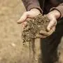 Die Trockenheit macht den Landwirten bereits schwer zu schaffen
