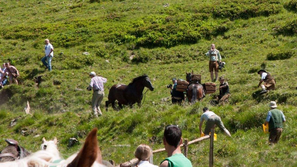 Besucher retten sich vor dem Tier