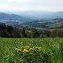 Blick in die Oststeiermark