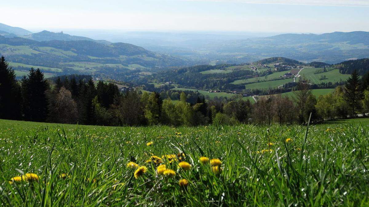 Blick in die Oststeiermark