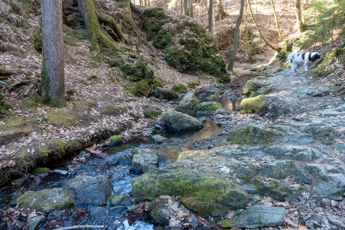 Eine besonders beliebte kleine Wanderung in Mariatrost ist die Rettenbachklamm 