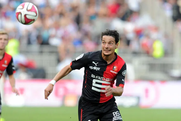 Stade Rennes wurde auf den Stürmer aufmerksam, verpflichtete Hosiner. Die Karriere Hosiners geriet ins Stocken. In 13 Spielen für Rennes erzielte er nur ein Tor und wurde nach Köln verliehen.