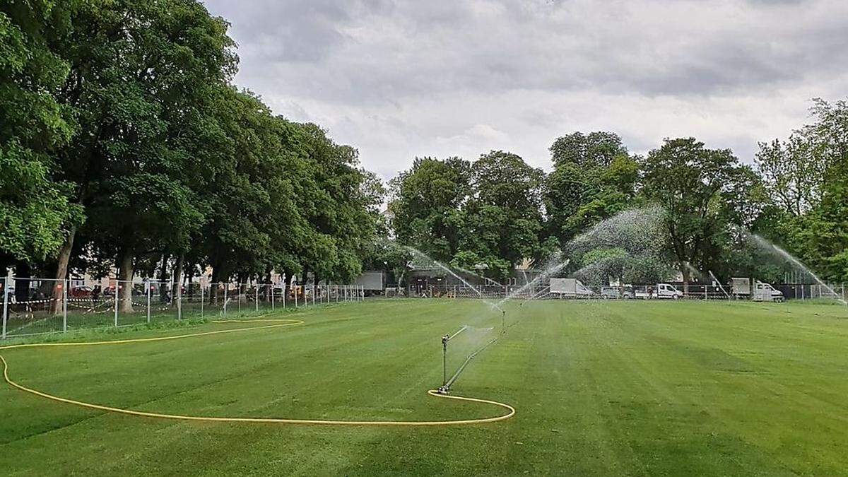 Davon konnten die Sturm-Graz-Gründer nur träumen: Rollrasen und Sprinkleranlage im Augarten