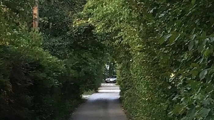 Die Sichtweite ist in den betroffenen Straßen stark eingeschränkt.
