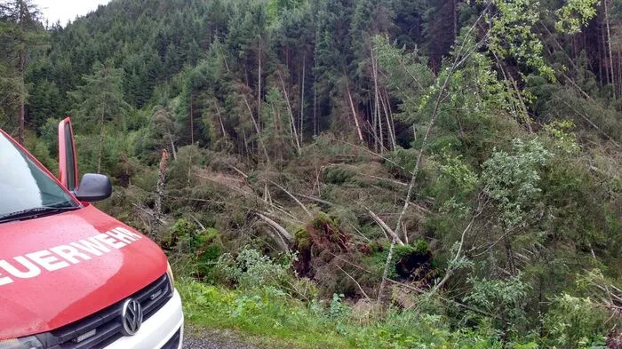Getroffen wurde auch ein Wohnhaus und ein Carport; die Freiwillige Feuerwehr Stein an der Enns rückte aus, um die Bäume zu entfernen. Im Einsatz stand die Feuerwehr Stein mit drei Fahrzeugen sowie ein LKW mit Kran.