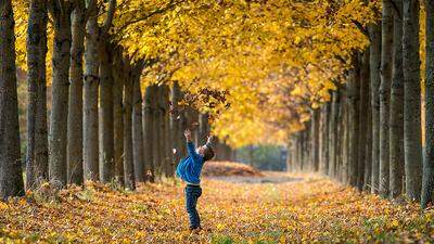 Es stehen ein paar schöne Herbsttage bevor