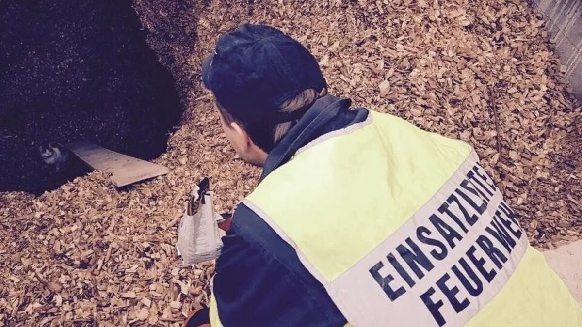FF Heiligenkreuz im Einsatz