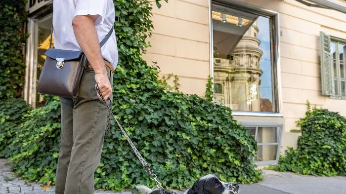 Nach der  Bürgergasse durchstreift Paula die Burggasse - von der Stadtkrone in das Tal hinunter. Die Nummerierung der Burggasse beginnt auch von oben.
