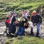 Die Einsatzkräfte konnten das Stierkalb unverletzt bergen