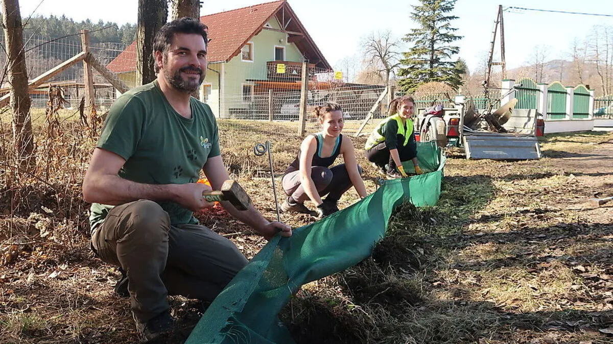 Oliver Gebhardt mit Helferinnen beim Zaunaufbau