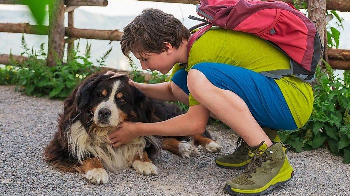 In den Jufagästehäusern in Knappenberg, Gurk und auf der Hiochrindl sind Gäste mit Hunden willkommen 