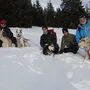 Schneeschuhwandern mit Huskies auf der Koralm