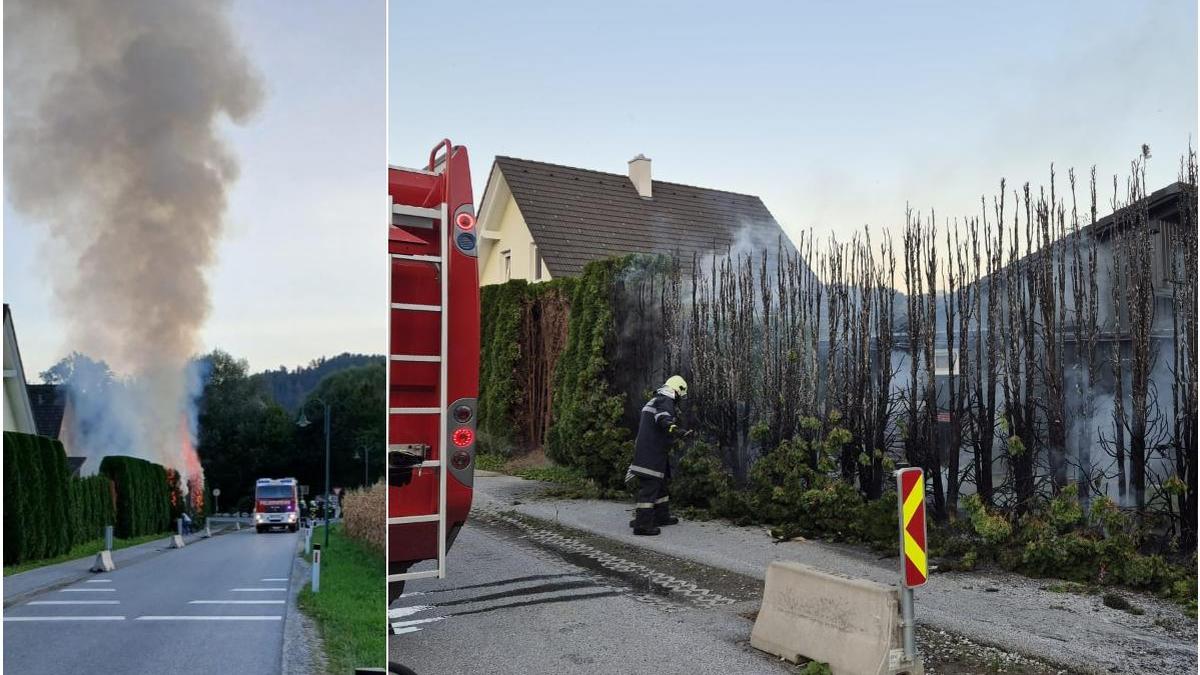 Dieselbe Hecke in Klein-Gaisfeld brannte zum dritten Mal