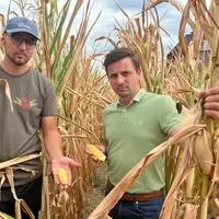 Landwirt Kilian Eberl und Bauernbund-Direktor Bernd Brodtrager in einem der verdorrten Maisäcker